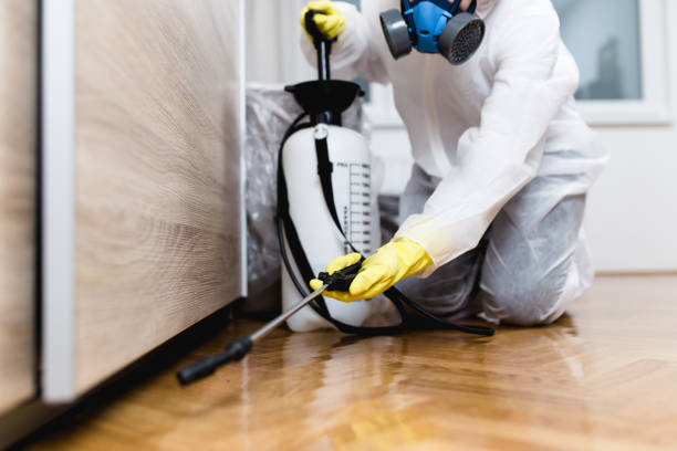 Best Best Pest Control Companies  in Frankfort, IN