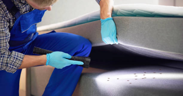 Best Ant Control Services  in Frankfort, IN