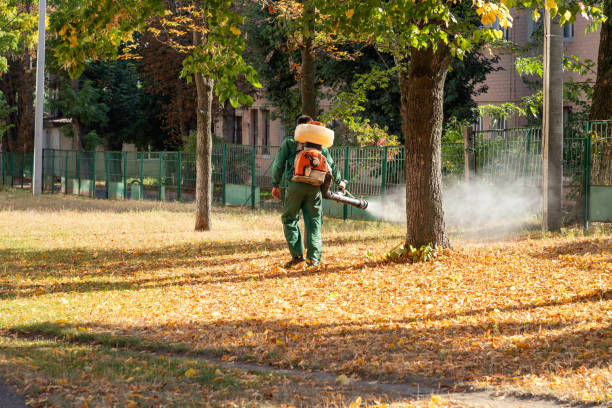 Best Cockroach Control Services  in Frankfort, IN