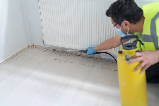 Best Best Pest Control Companies  in Frankfort, IN