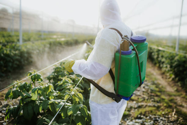 Best Residential Pest Control  in Frankfort, IN